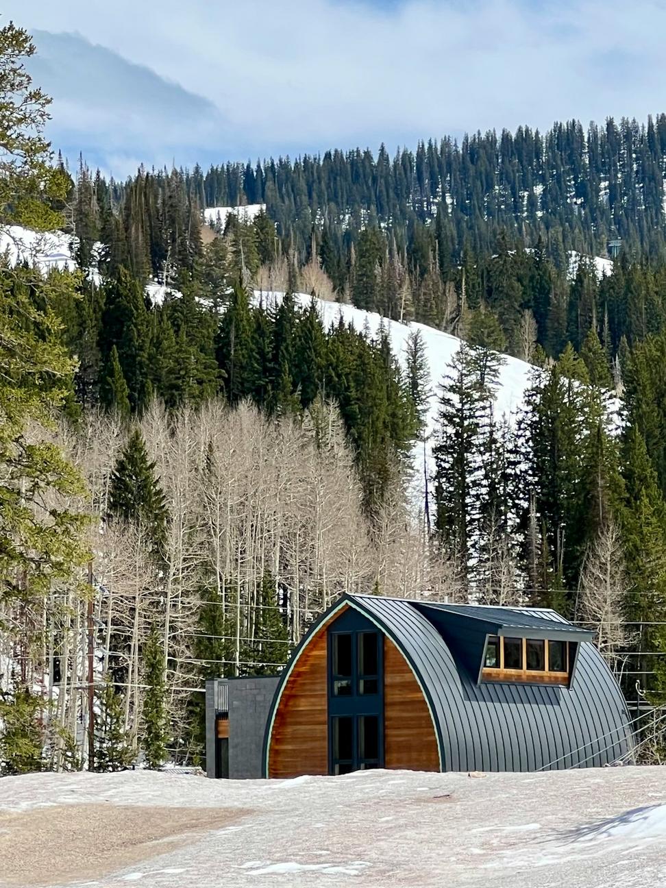 Whistler Mountain Retreat
